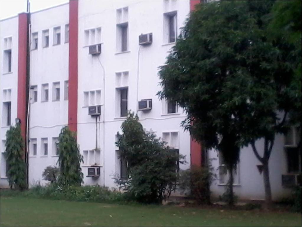 Blue Triangle Family Hostel New Delhi Bagian luar foto